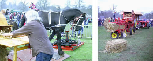 Johnny Fee and his horse drawn threshing