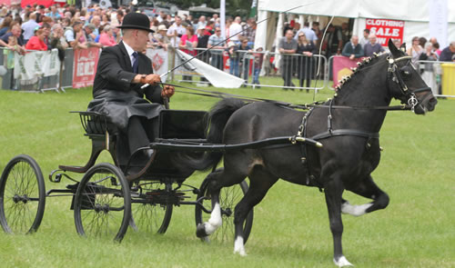 Elegance and style from a bygone age
