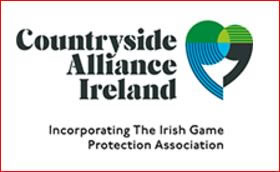 CAI Logo