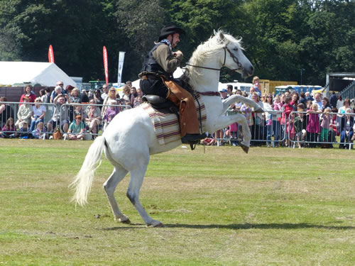 Western Show from Les Amis