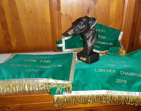 Lurcher Trophies