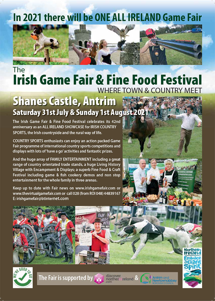 Shanes Flyer