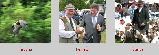 Falcons, Ferrets & Hounds