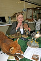 Ingrid Houwers at work 