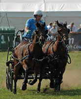 Obstacle Driving
