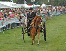 Traditional Carriages