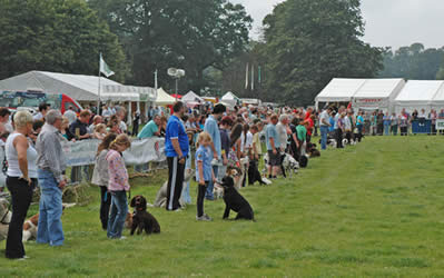 The Dog Whisperer attracts big crowds