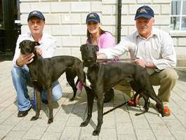 Lurchers in Square