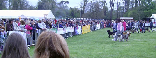 Crowds Watching Keith at Ballywalter