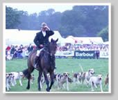 Irish Game Fair