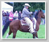 Irish Game Fair