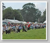 Irish Game Fair