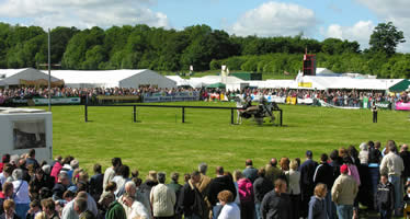 Shanes Arena